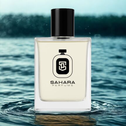 Impression of INVICTUS AQUA | Long Lasting Perfume For Men